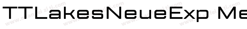 TTLakesNeueExp Medium字体转换